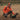 Mist Windblocker Reversible Jacket Men High Vis Orange Deer