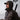Hunter Hybrid Hood Jacket Men Antler Camouflage