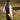 Blair Shooting Fit Shirt Women Ducks on the move