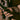 Scale Neoprene Gloves Dark Autumn Green