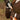 Waterproof Shooting Gloves Leather Brown