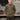 Moose Sweatshirt Junior Forest Green Moose