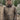 Alaska Mosquito Jacket Black