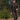 Chaser Lite Ws Zip Off Pants Solid Brown
