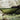 Mavas Lite Hammock Green