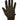 Chevalier Stretch Glove
