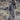 Superior Pro Ws Jacket Solid Brown